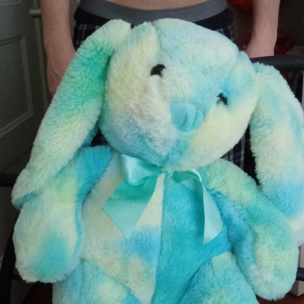A tidie blue and yellow bunny rabbit